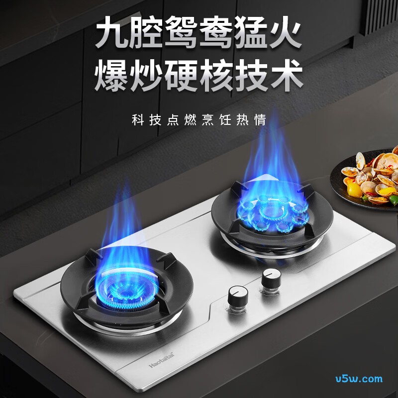 Haotaitai-JZY-ZR01-BJ液化气灶然气灶图片
