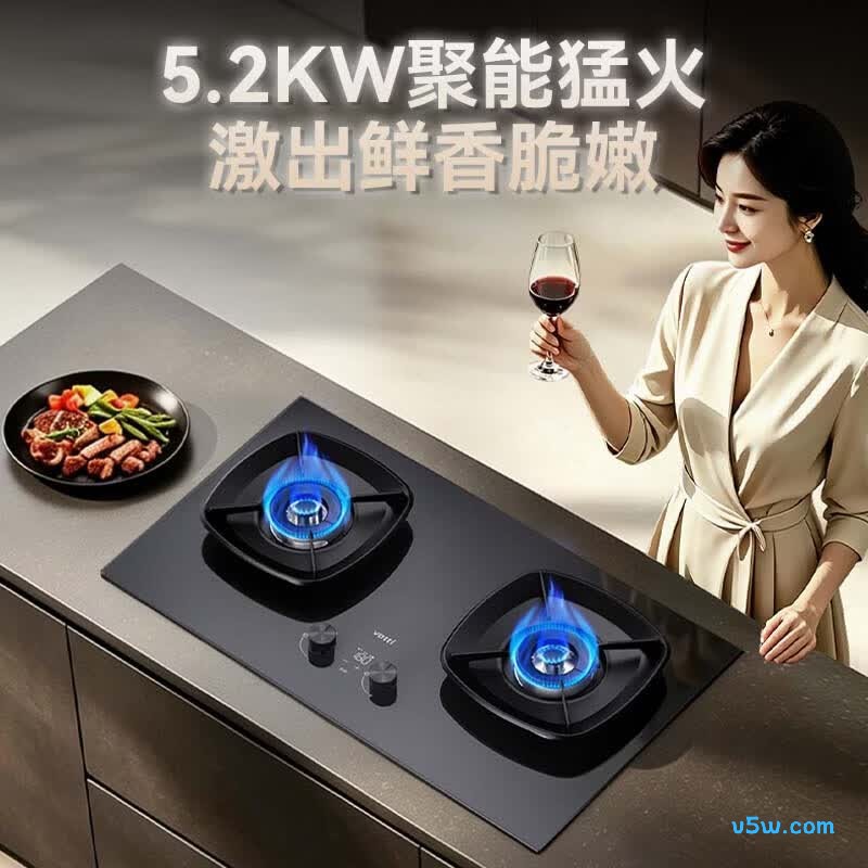 华帝i10122D天然气灶然气灶图片