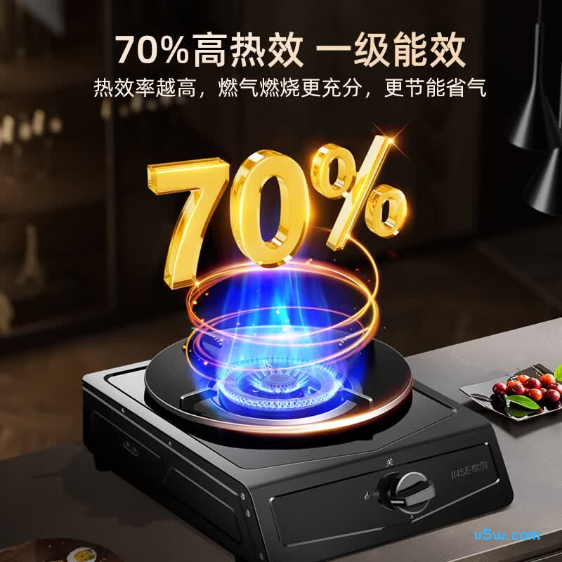 樱雪JZY-261T1P液化气灶然气灶图片