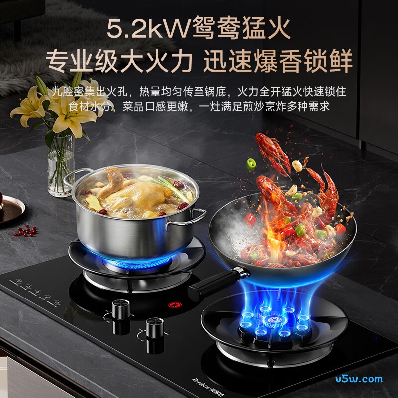 荣事达JZY-R55-2液化气灶然气灶图片