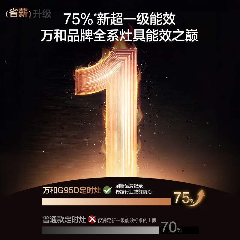 万和G95D天然气灶然气灶图片
