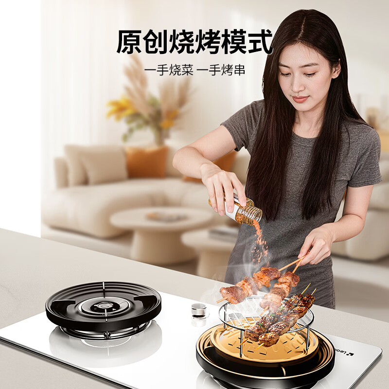 统帅V1天然气灶然气灶图片