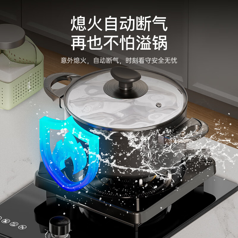 荣事达JZT-918-A1天然气灶然气灶图片