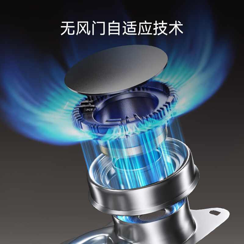 林内2ERLT1(B)天然气灶然气灶图片