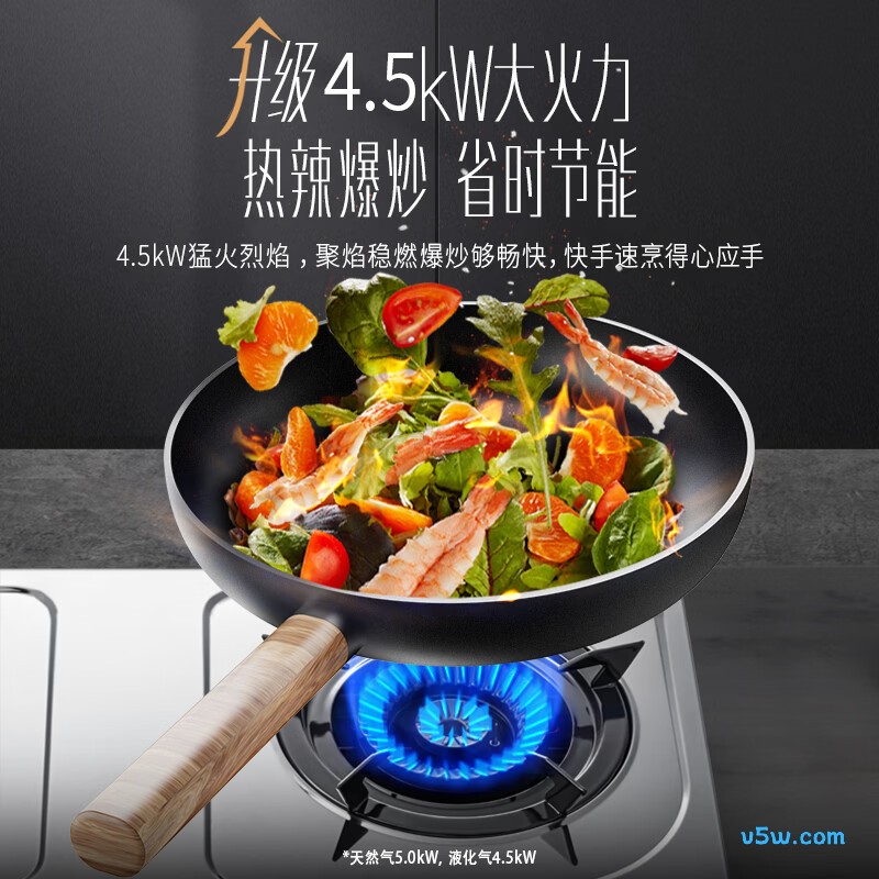 华帝i10013T液化气灶然气灶图片