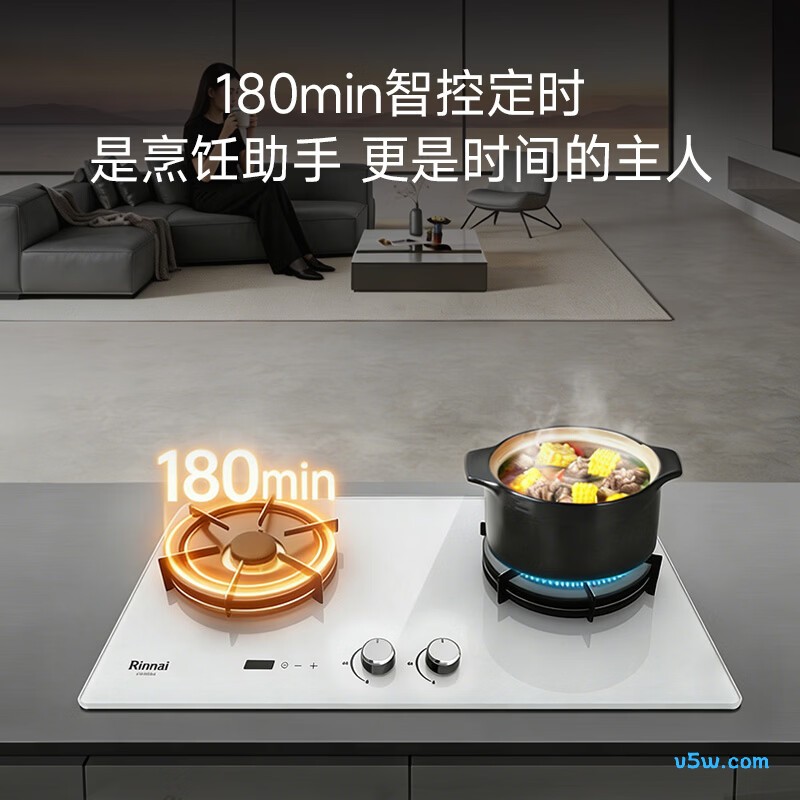 林内2ERLT1(B)天然气灶然气灶图片