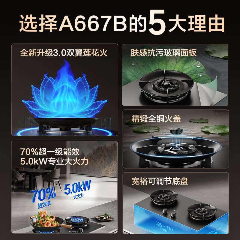 名气A667B-H1P液化气灶然气灶图片