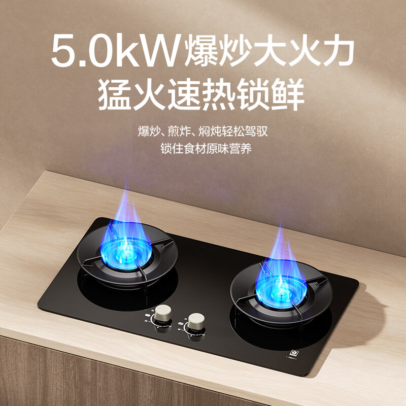 樱花TGA11液化气灶然气灶图片