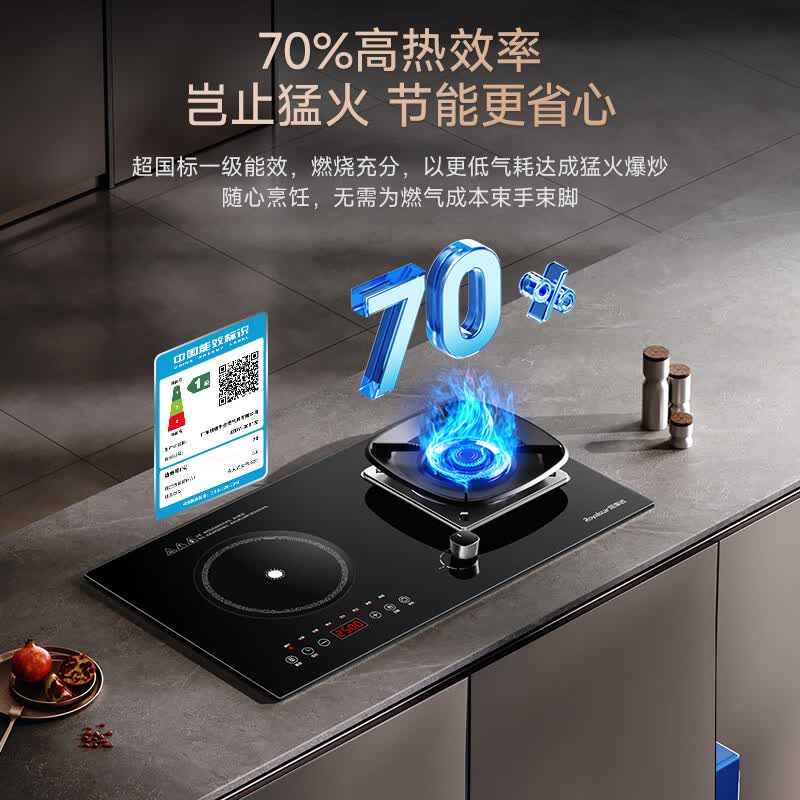 荣事达JZDT-25B1天然气灶然气灶图片