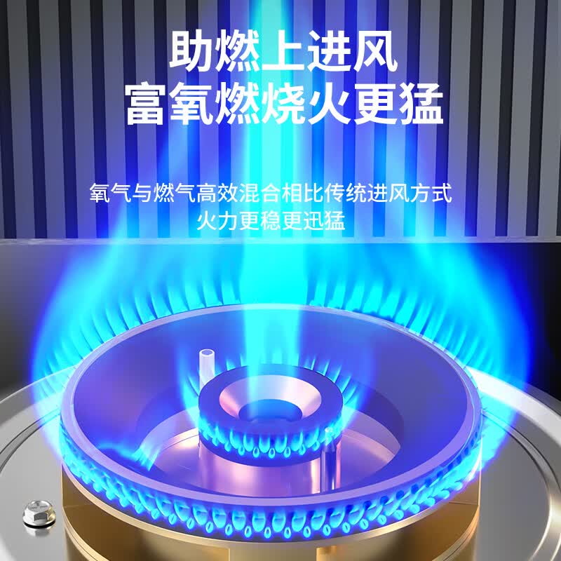 容声JZT-RLBD10T天然气灶然气灶图片