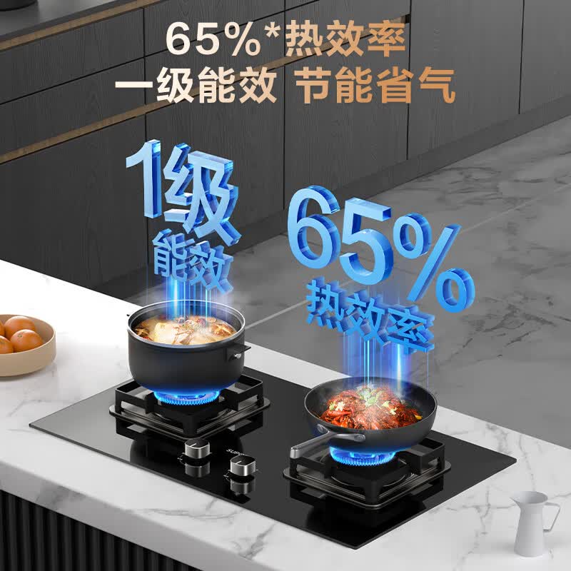苏泊尔DB28液化气灶然气灶图片