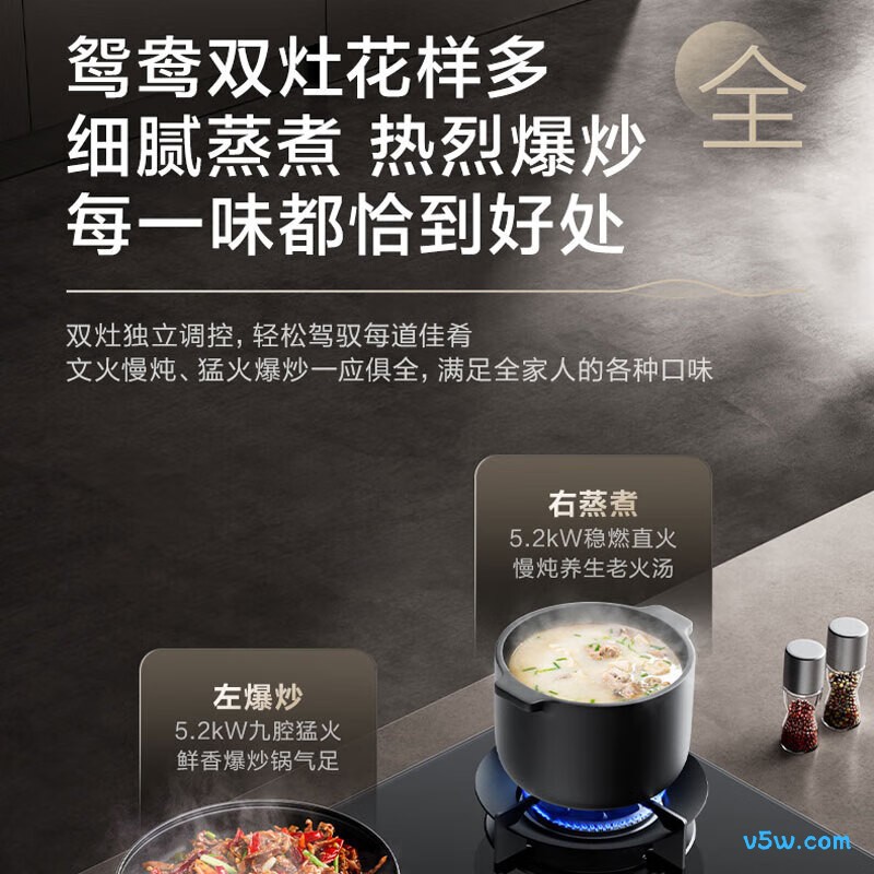 苏泊尔JZT-Z-PB33天然气灶然气灶图片
