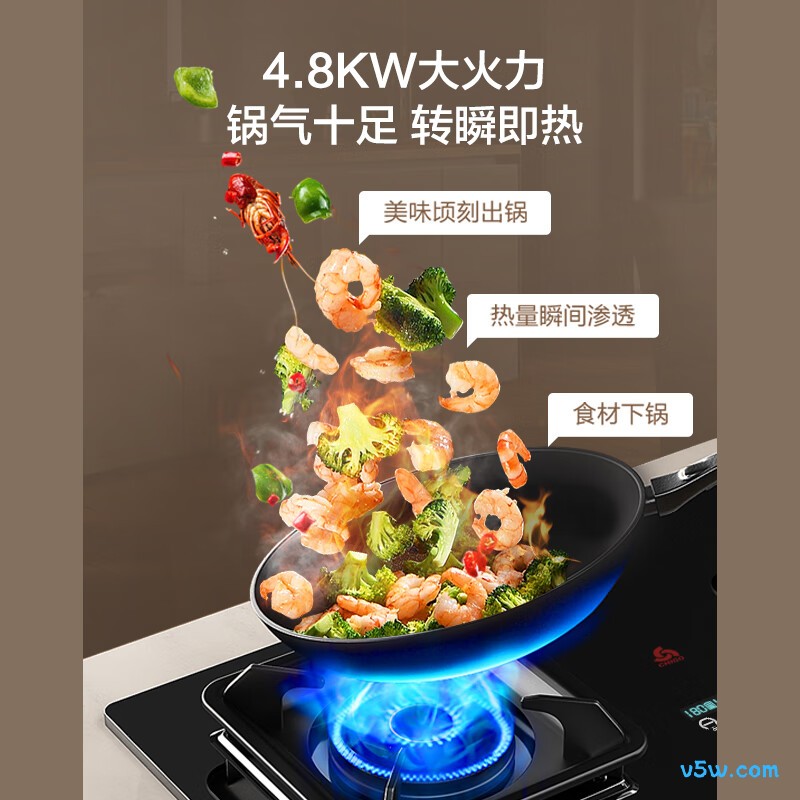 志高D09液化气灶然气灶图片