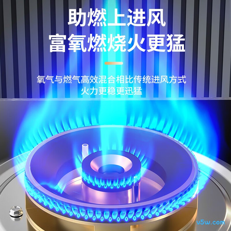 容声RLB10Y液化气灶然气灶图片