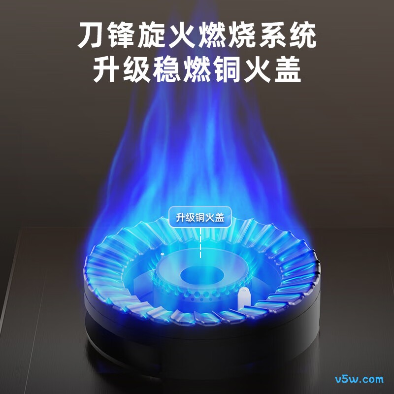 荣事达JZY-B56液化气灶然气灶图片