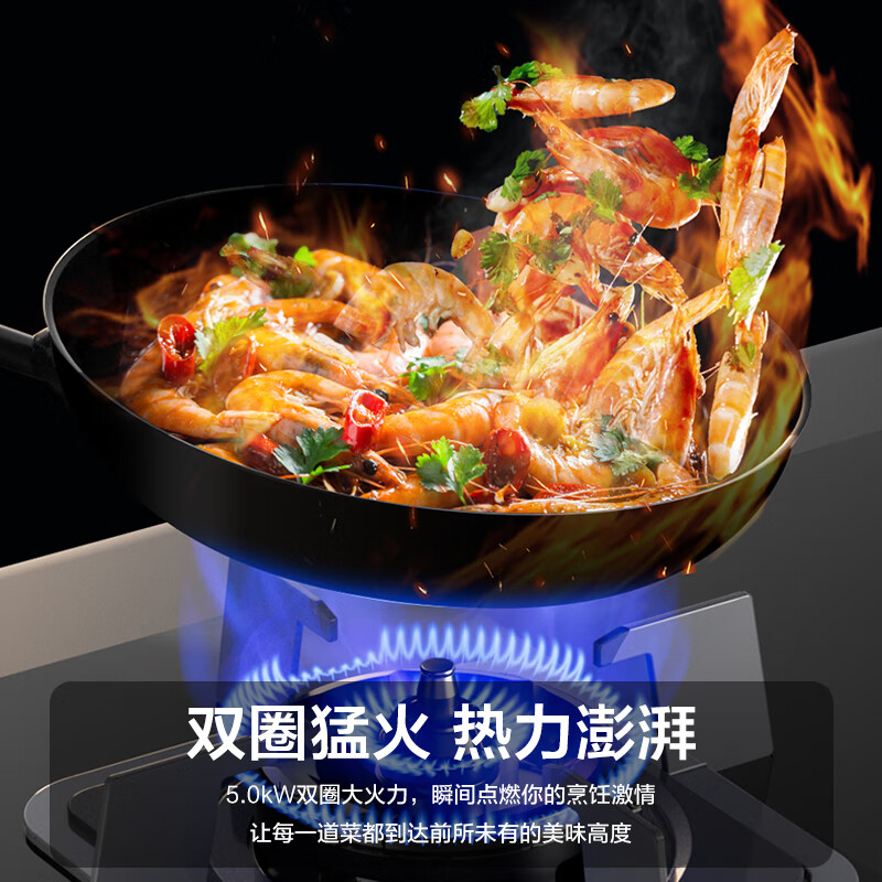 能率JZT-EZ02天然气灶然气灶图片
