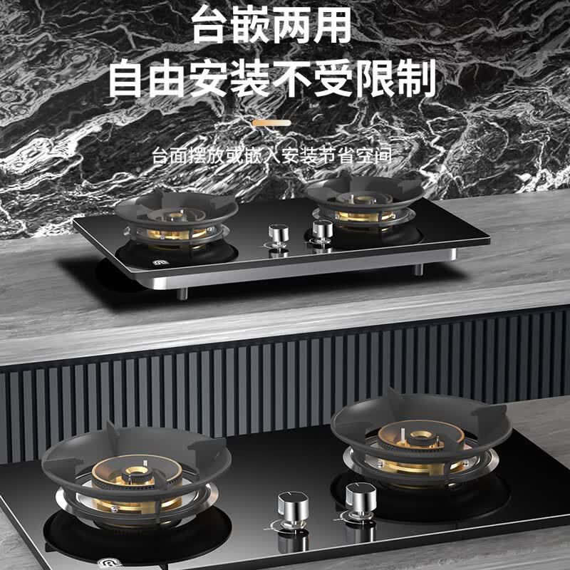 容声RLB10Y液化气灶然气灶图片