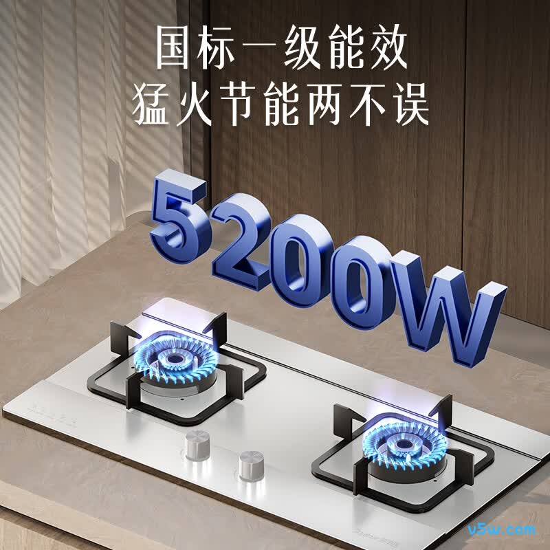 荣事达Z223B天然气灶然气灶图片