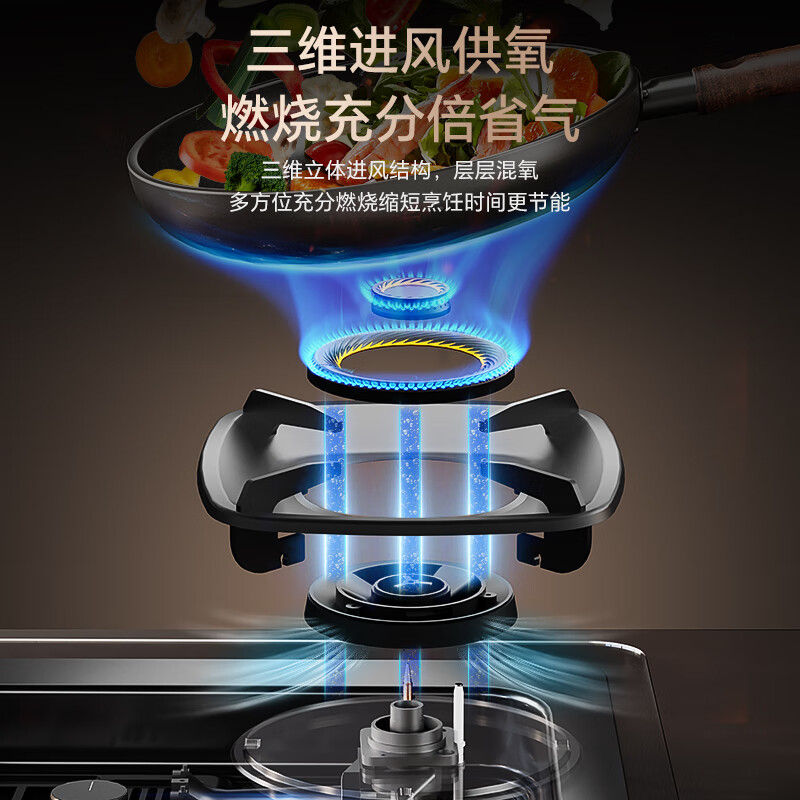 荣事达JZT-D612YS天然气灶然气灶图片