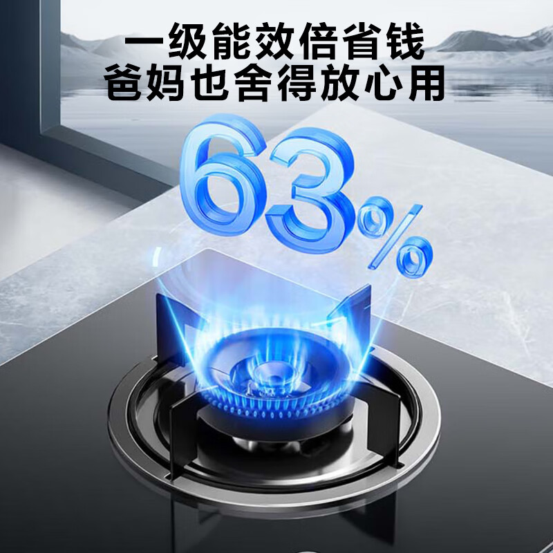 苏泊尔DB19S天然气灶然气灶图片