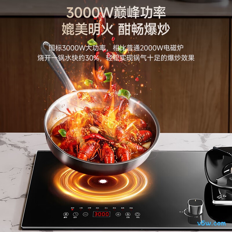 荣事达JZDY-30B1液化气灶然气灶图片