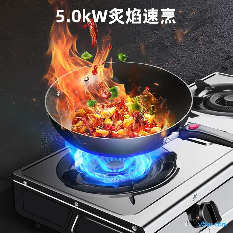 樱雪T2322液化气灶然气灶图片