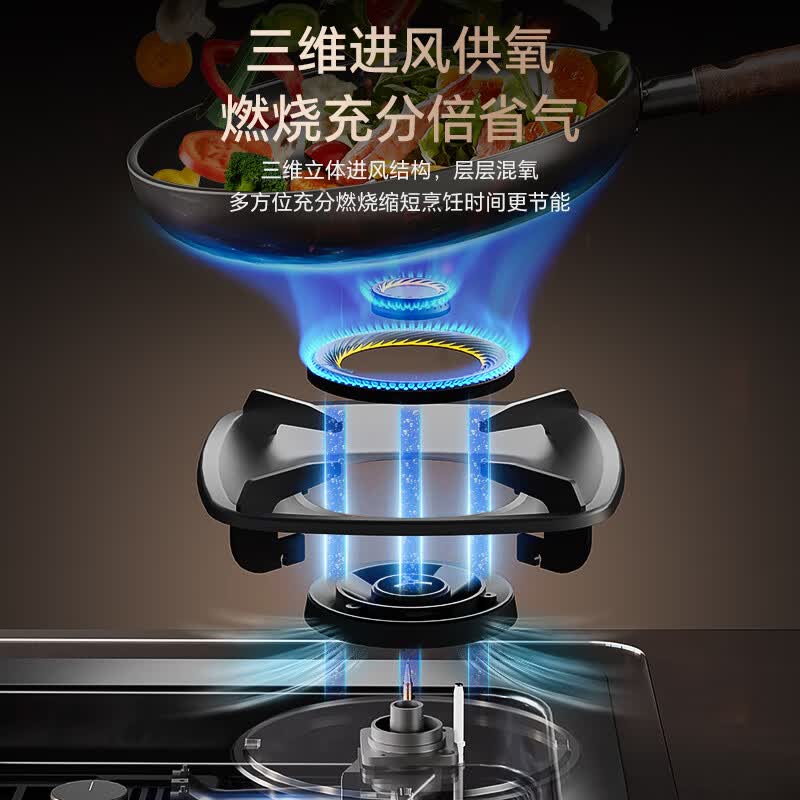 荣事达JZY-D612YS液化气灶然气灶图片