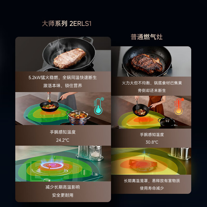 林内2ERLS1天然气灶然气灶图片