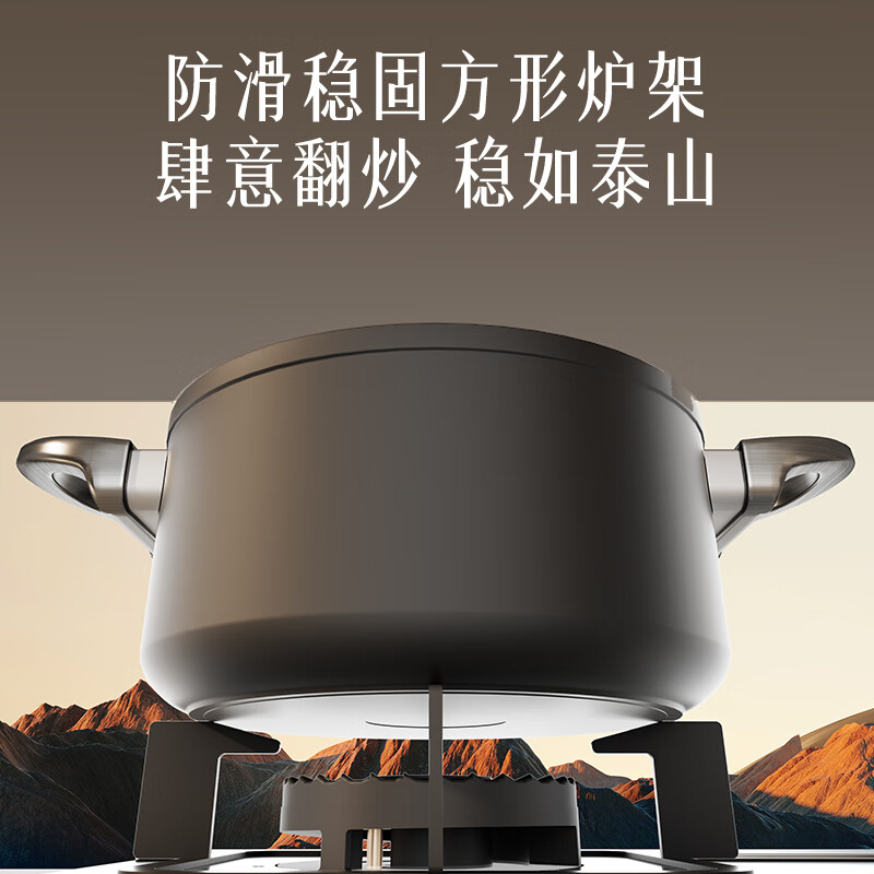 荣事达Z223B天然气灶然气灶图片