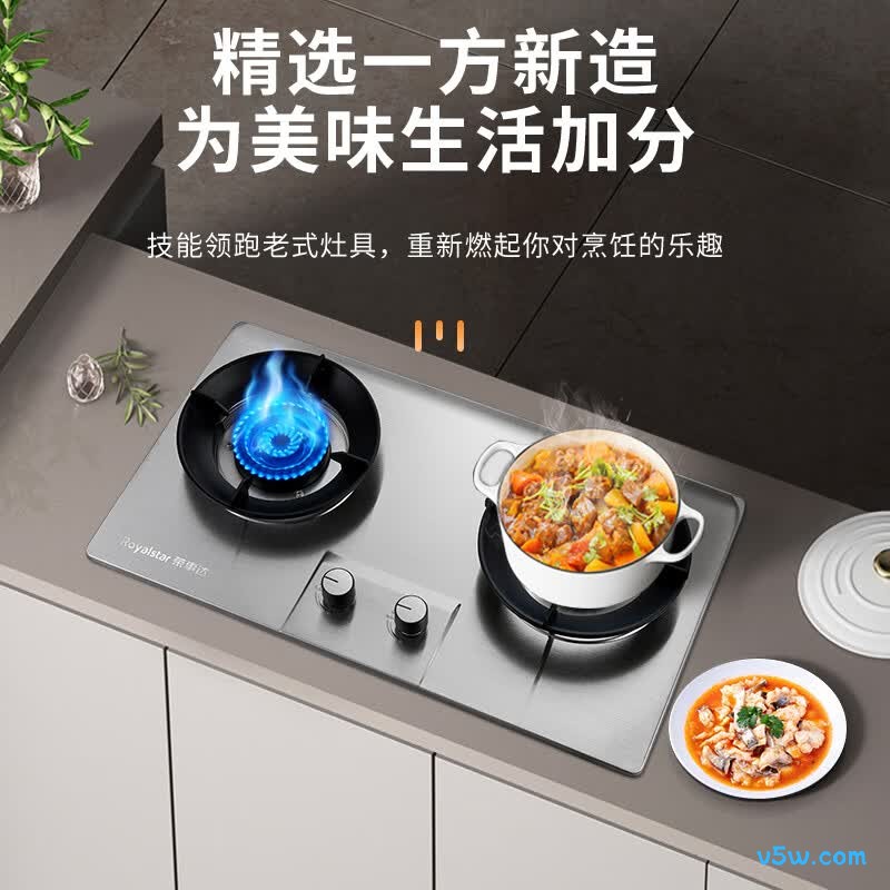 荣事达RSD-R103天然气灶然气灶图片