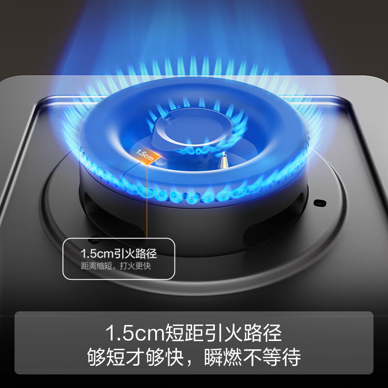 方太TH36B天然气灶然气灶图片