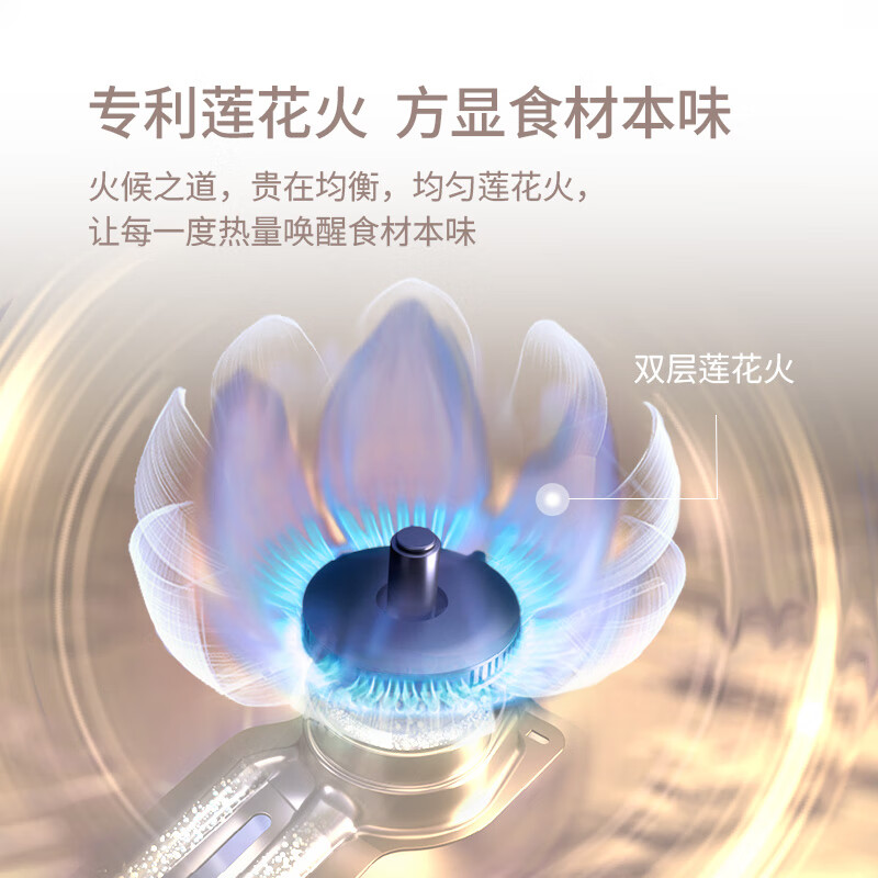 林内2ERLS1(W)天然气灶然气灶图片