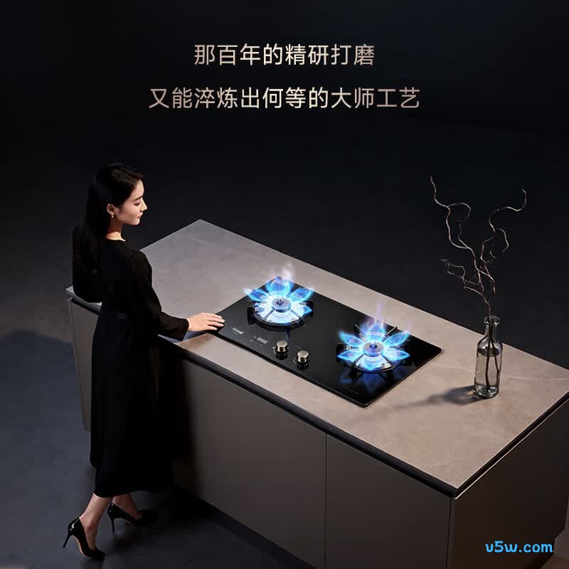 林内2ERLS1天然气灶然气灶图片