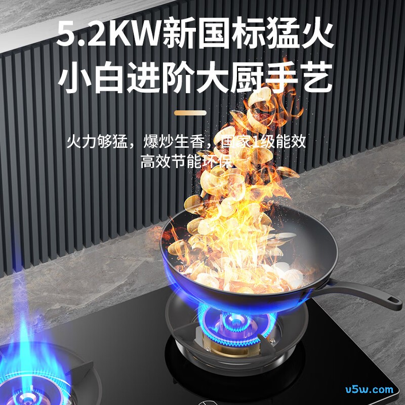 容声RLB10T天然气灶然气灶图片