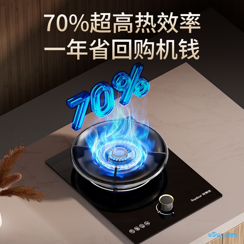 荣事达JZT-RD10B天然气灶然气灶图片