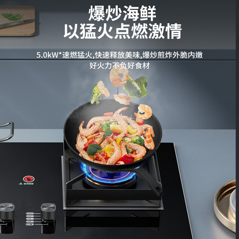 容声TA19E液化气灶然气灶图片