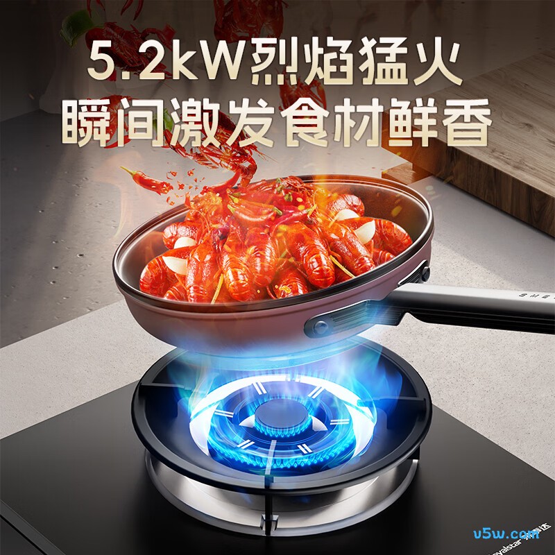 荣事达JZDT-25A1天然气灶然气灶图片