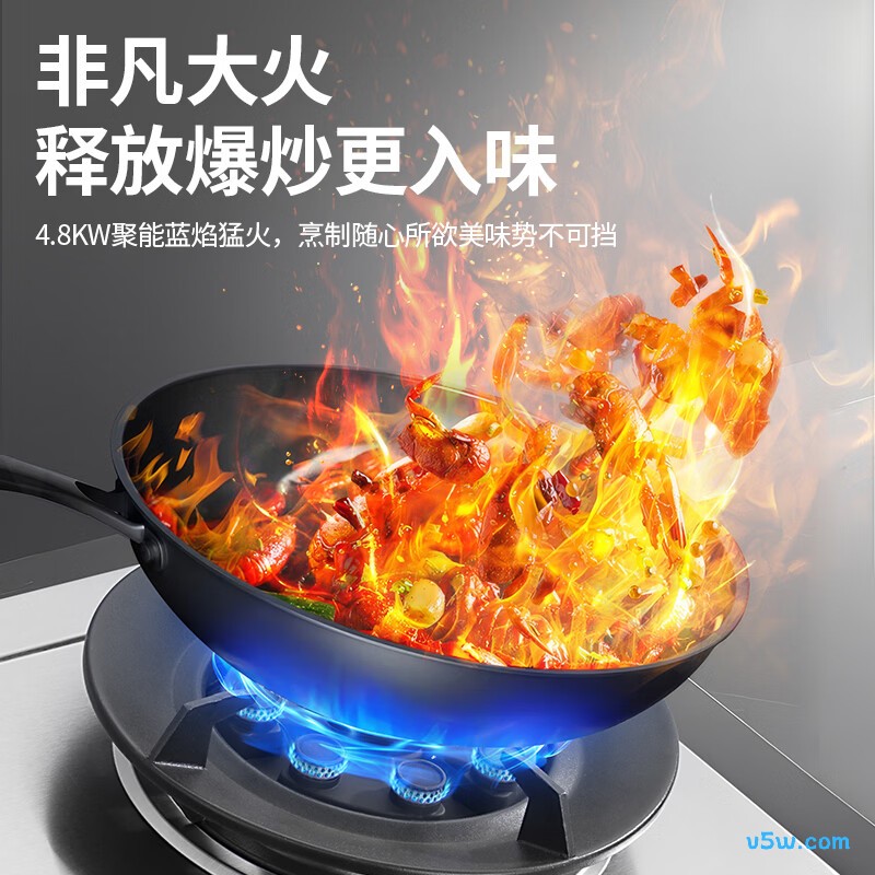 Haotaitai-JZY-ZR01-BJ液化气灶然气灶图片