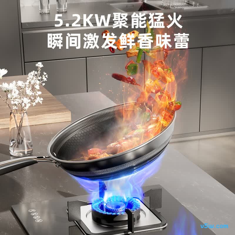 荣事达JZT-B56天然气灶然气灶图片