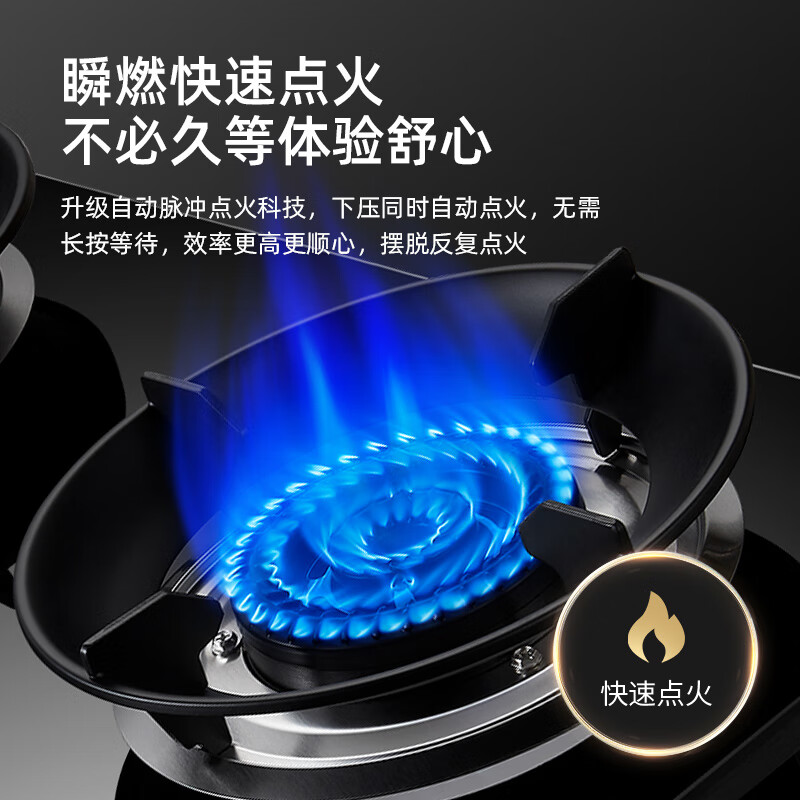 荣事达RSD-R104液化气灶然气灶图片