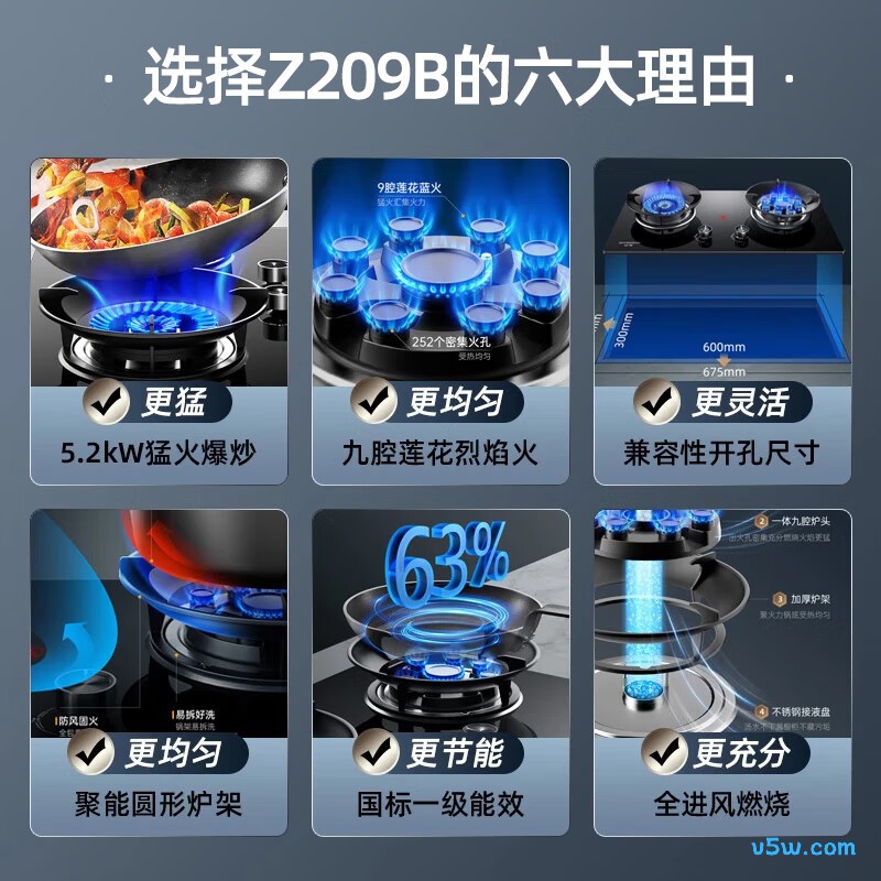 创维Z209B天然气灶然气灶图片