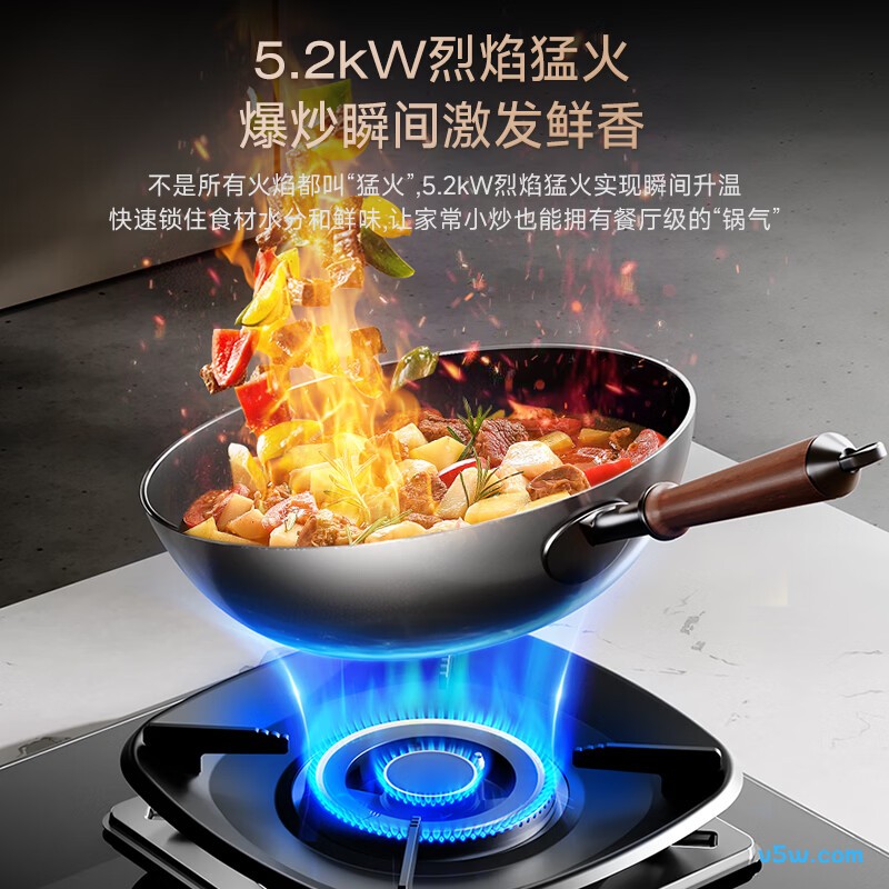 荣事达JZDT-FG35A天然气灶然气灶图片