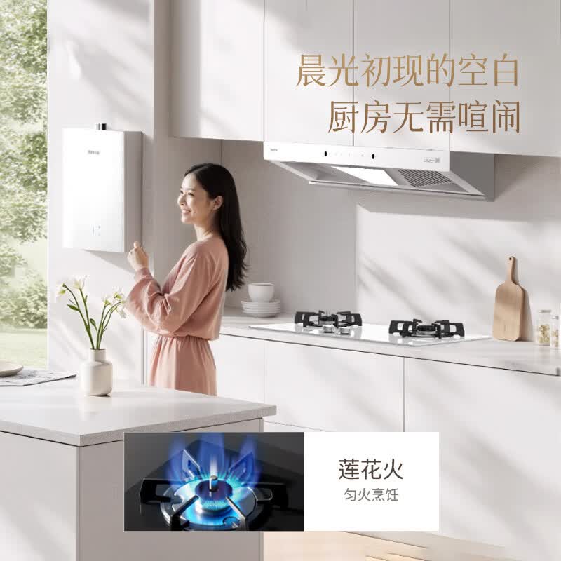林内2ERLS1(W)天然气灶然气灶图片