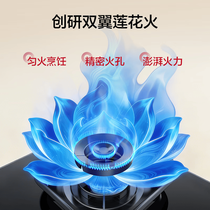 名气6063B天然气灶然气灶图片