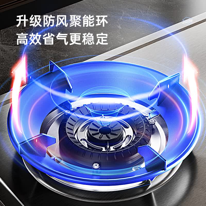 志高DB07S天然气灶然气灶图片
