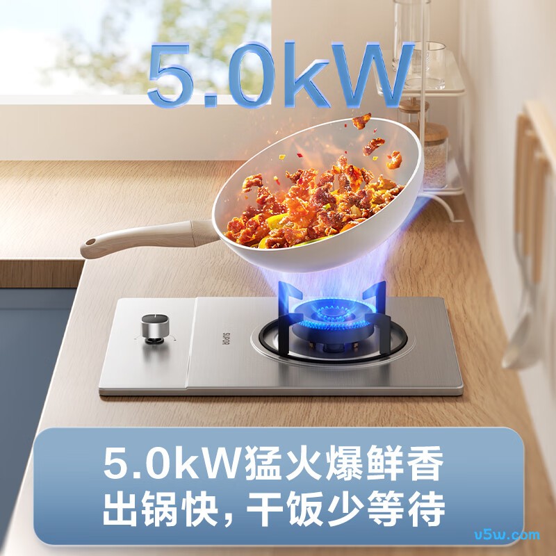 苏泊尔DSD12液化气灶然气灶图片