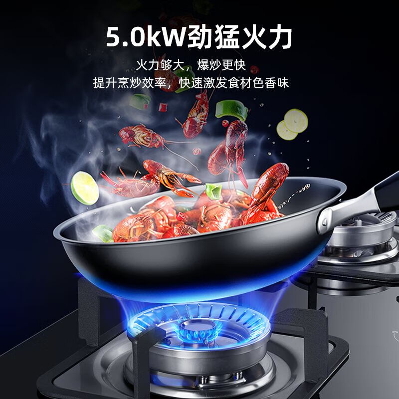 迅达Q2HA天然气灶然气灶图片