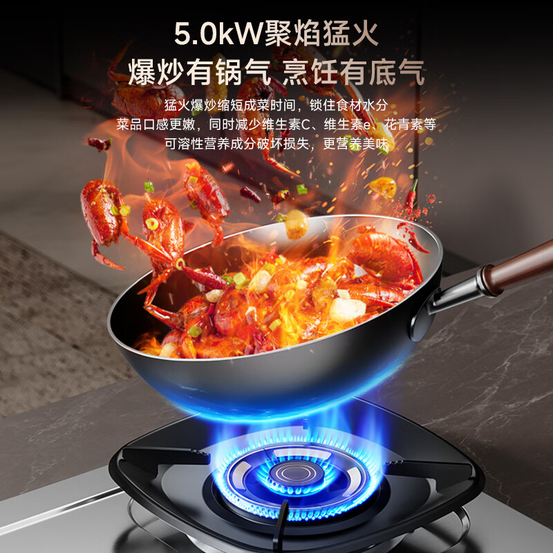 荣事达JZY-S52G液化气灶然气灶图片