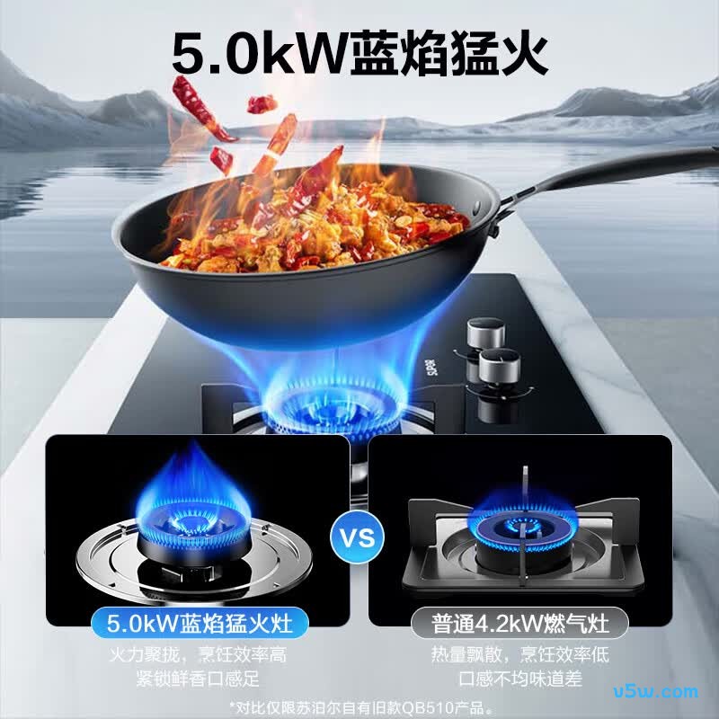 苏泊尔DB19S天然气灶然气灶图片