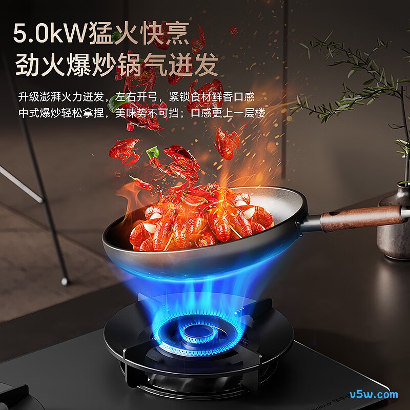 荣事达JZY-C604YS-1液化气灶然气灶图片